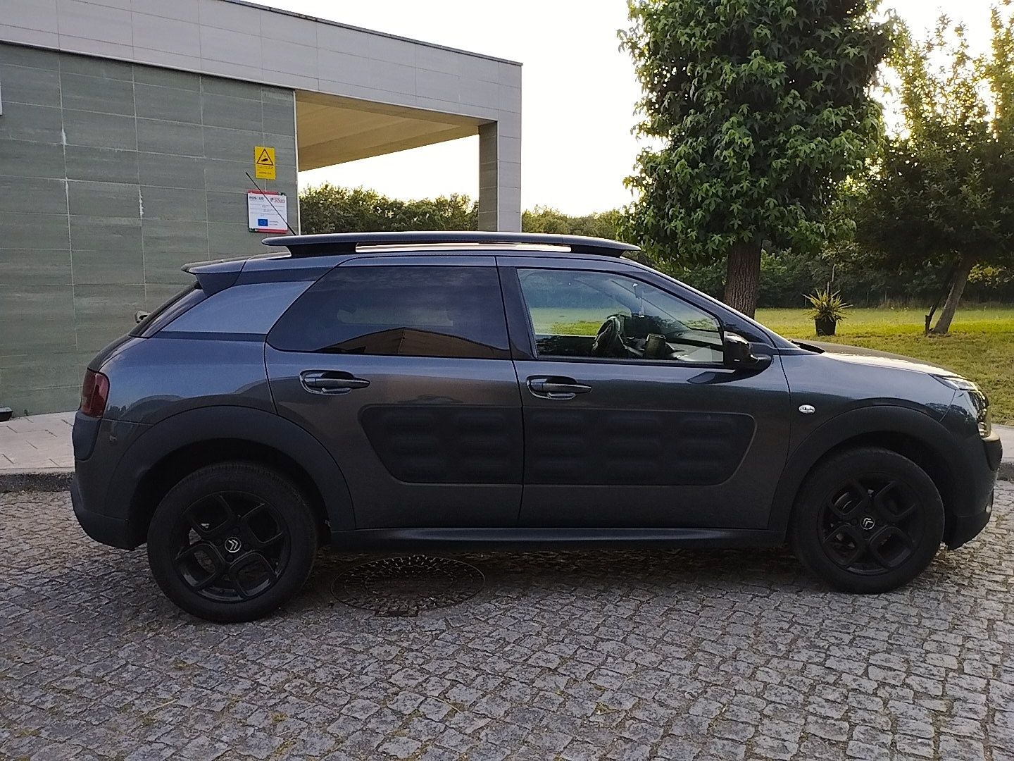C4 cactus 1.2 puretech gasolina