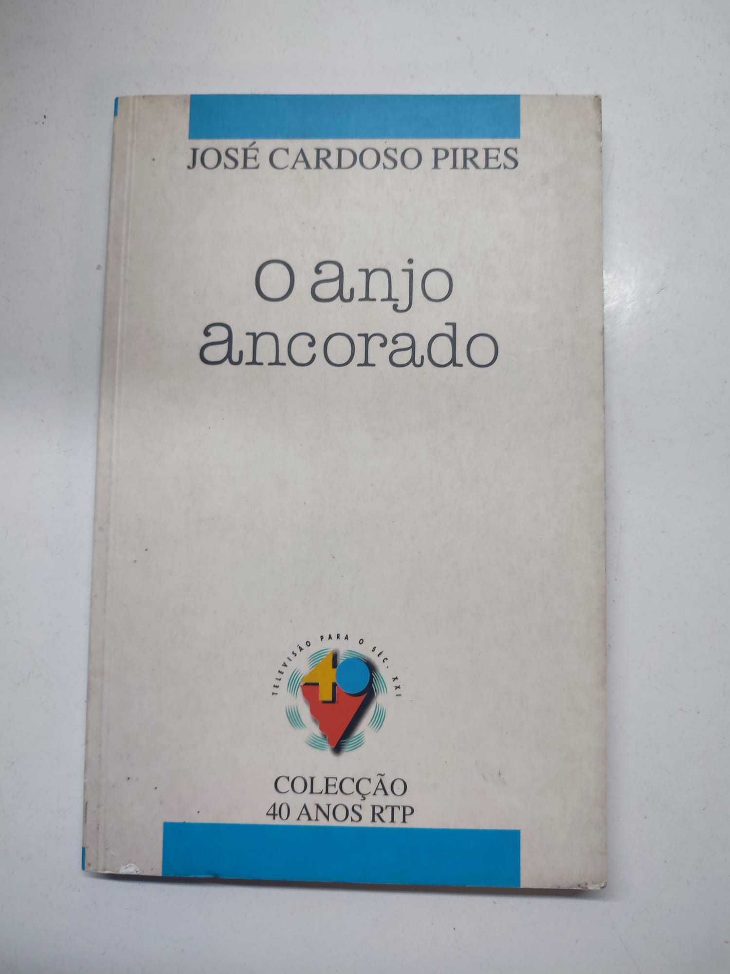 Livro - O Anjo Ancorado