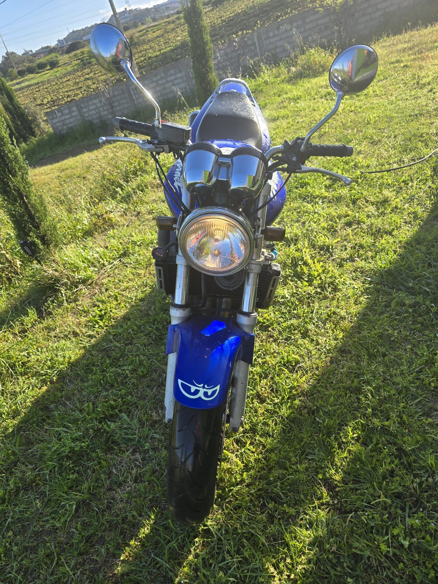 Honda Hornet 600