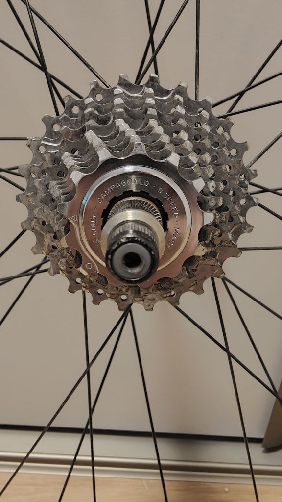 Koła 700c Tune/Novatec/Campagnolo 9s