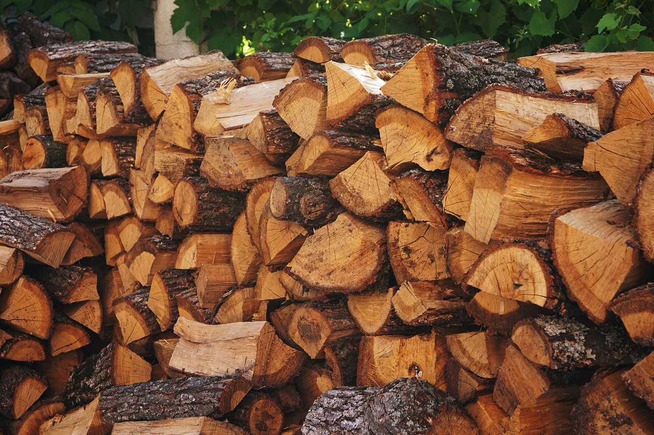 Дрова різних порід