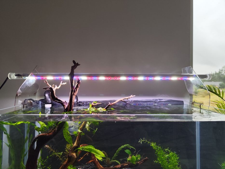 Zestaw akwarium 54L filtr kubełkowy FLUVAL