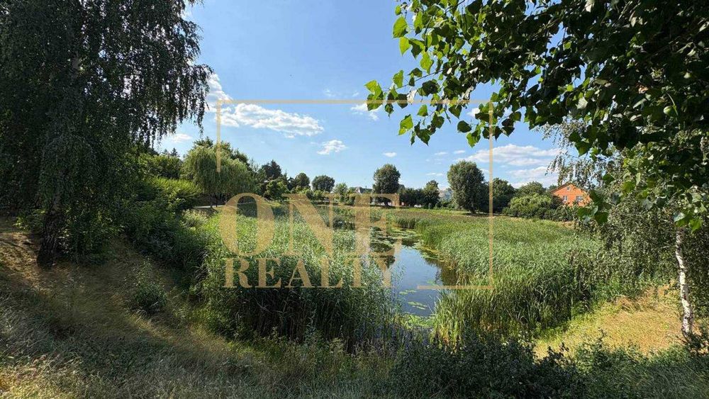 Будинок з зем. ділянкою 13.38 соток в центрі села Велика Олександрівка