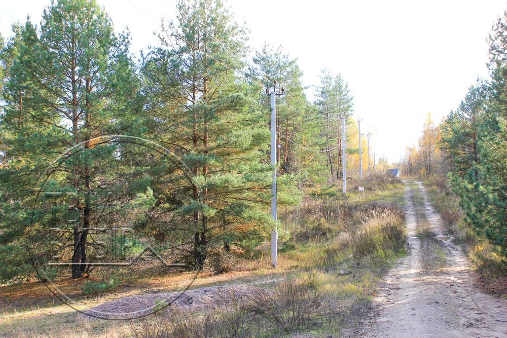 Продаж Ділянки 10 соток Гореничі Світло Ліс