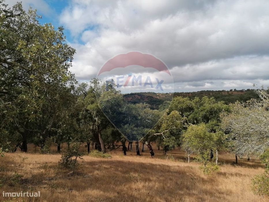 Quinta  para venda