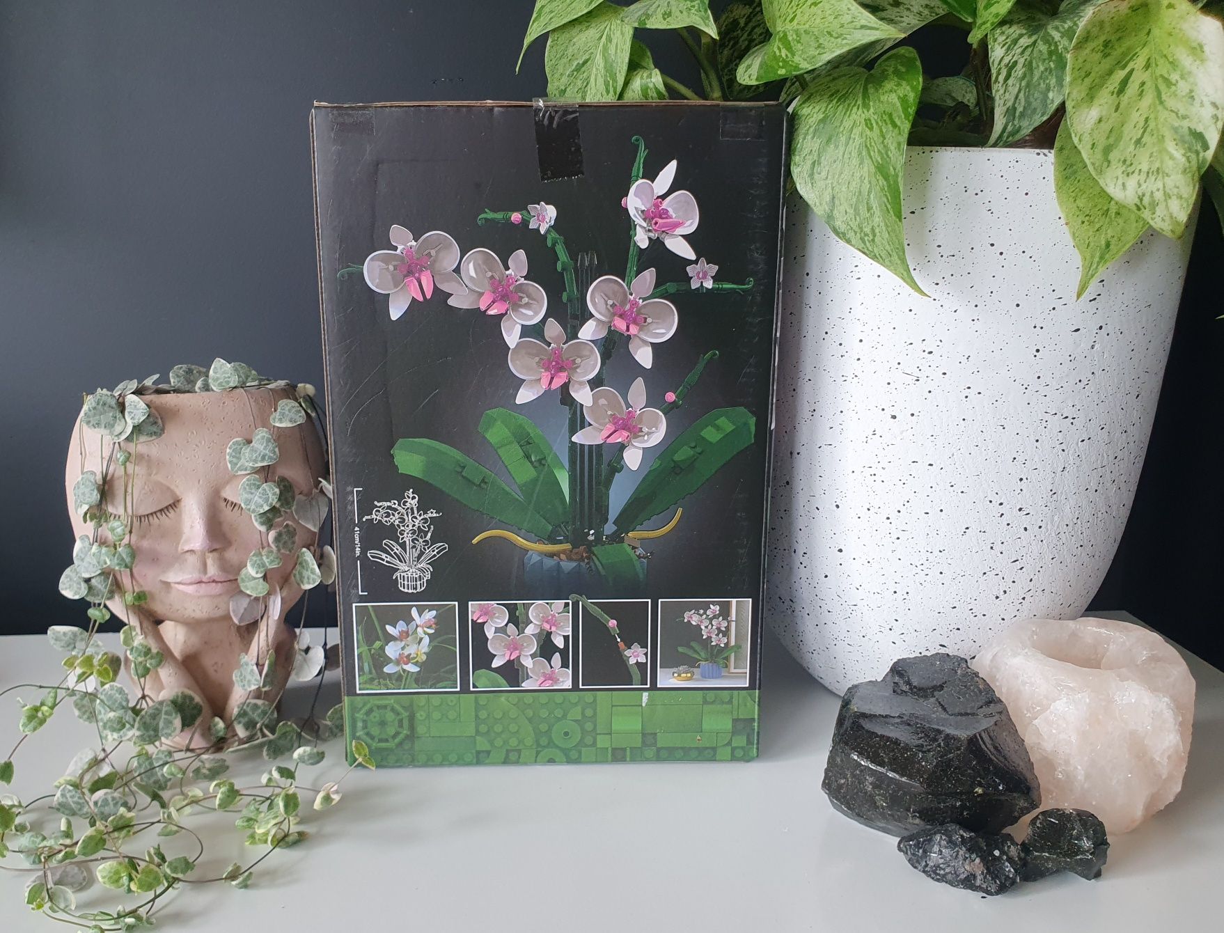 Klocki Botanicals kwiaty orchidea storczyk w doniczce prezent dekoracj