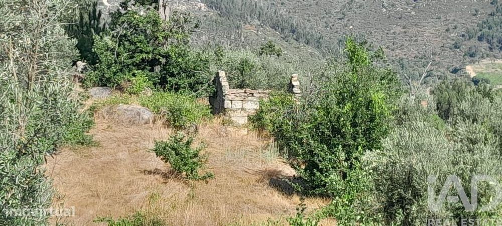 Terreno em Seixo da Beira de 3000,00 m2
