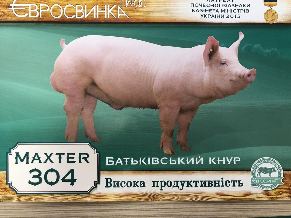 Спермодози хряків