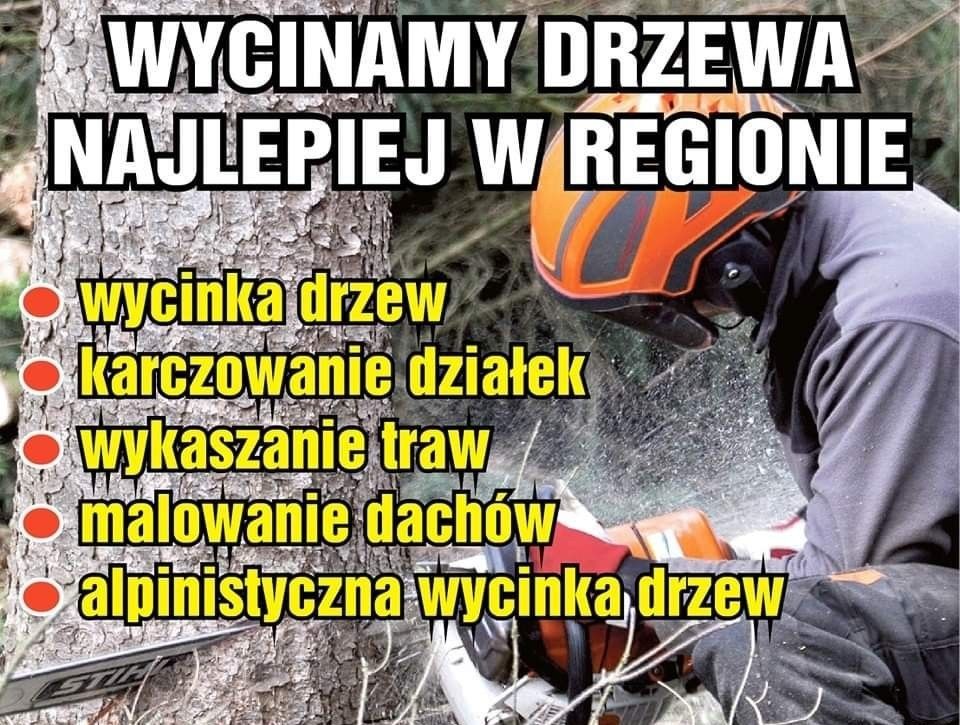 Wycinka drzew, karczowanie działek, wykaszanie traw! Szybka realizacja