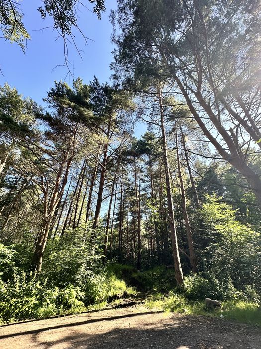 Земельна ділянка 15 сот, с. Новосілка, Львівська обл.