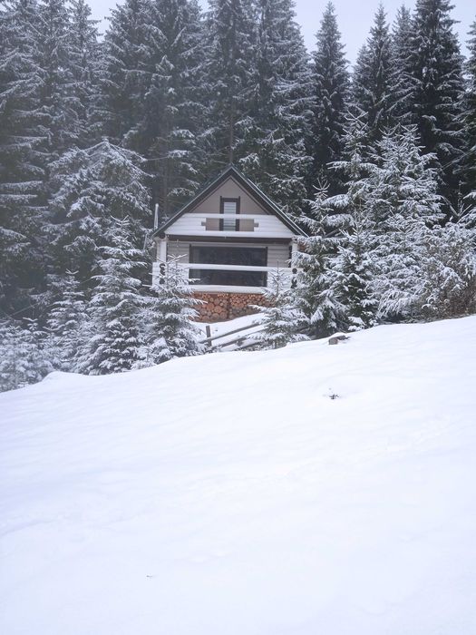 Будинок Ніч в Карпатах