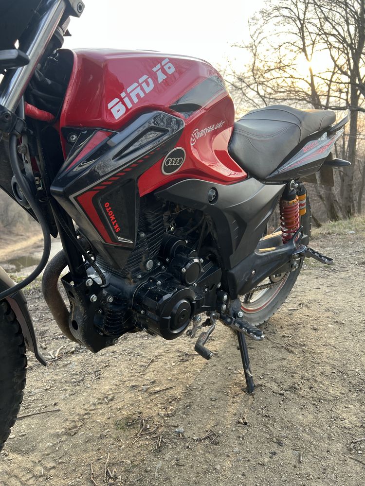 Продам skymoto bird x6