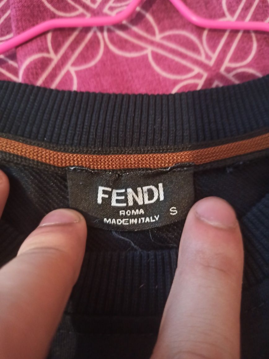 Свитшот Fendi roma