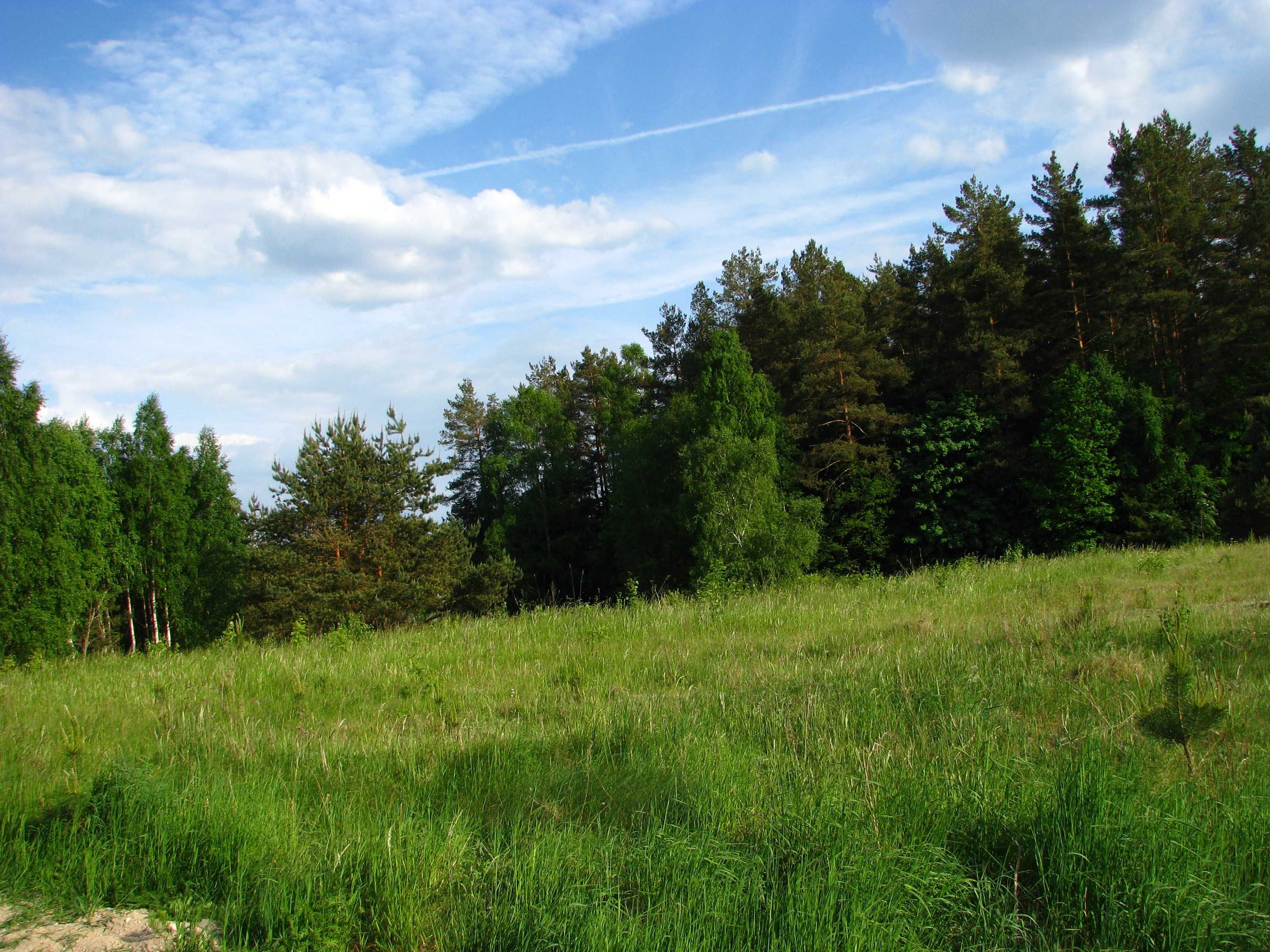 Działka budowlana ładnie położona 10 km od centrum Olsztyna