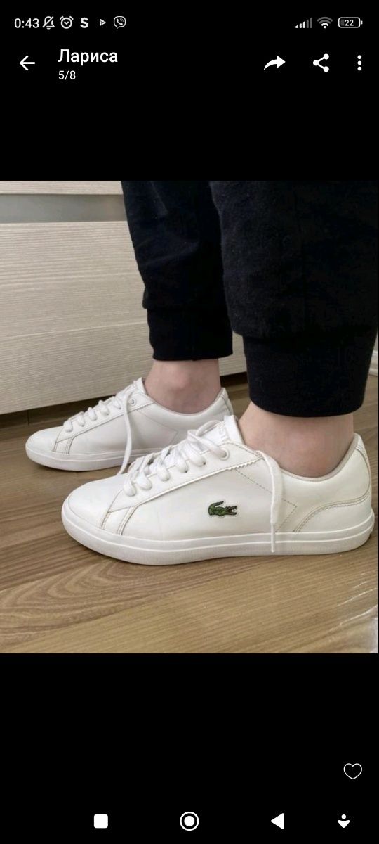 Шкіряні кеди Lacoste оригінал