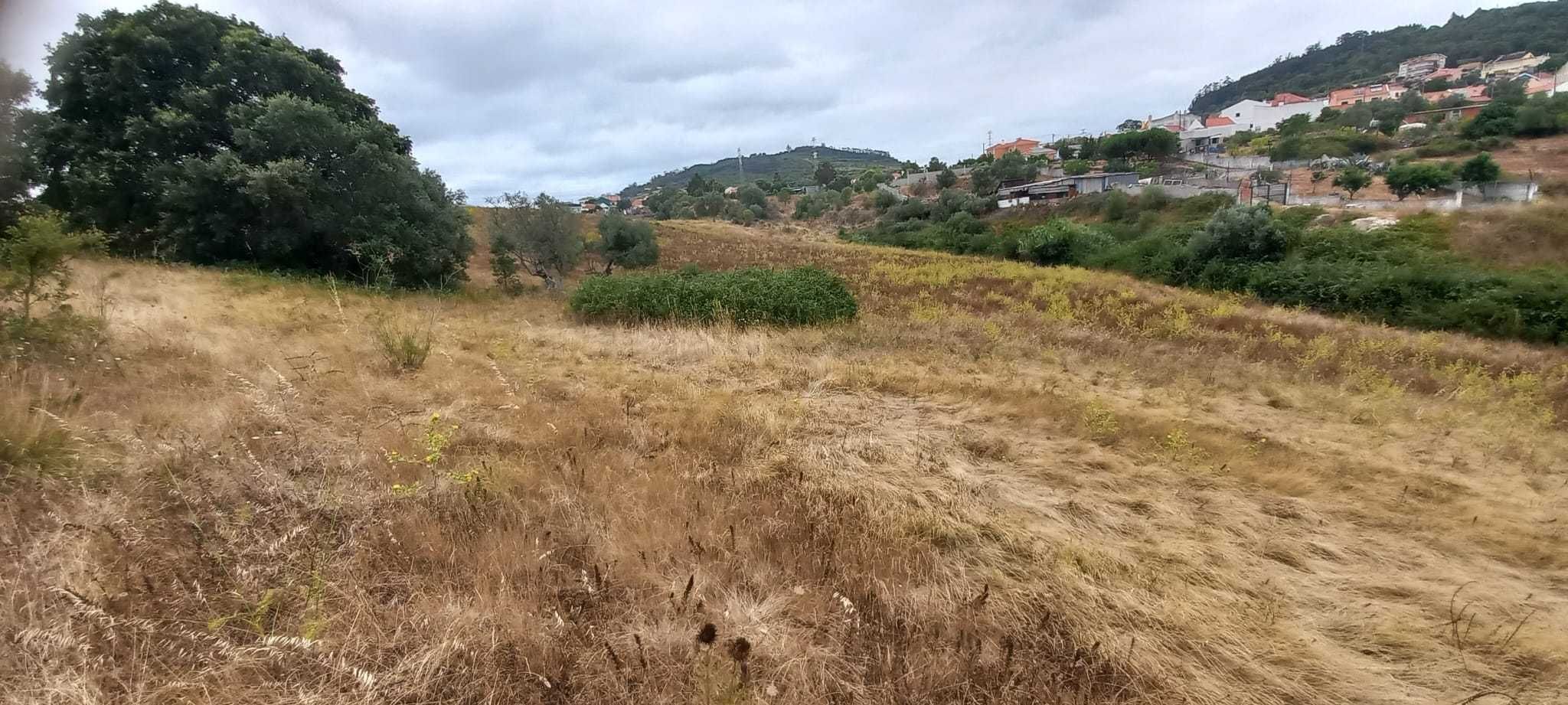 Terreno Incrível de 37.000m² a 15km dos Grandes Centros