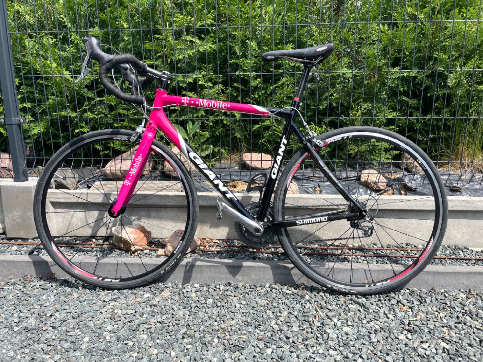 Rower szosowy Giant TCR T-Mobile.