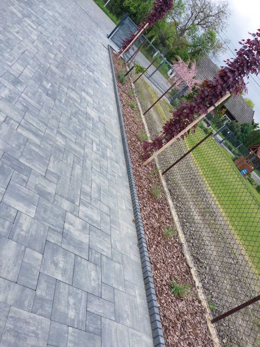 Kostka brukowa!  55 zł!