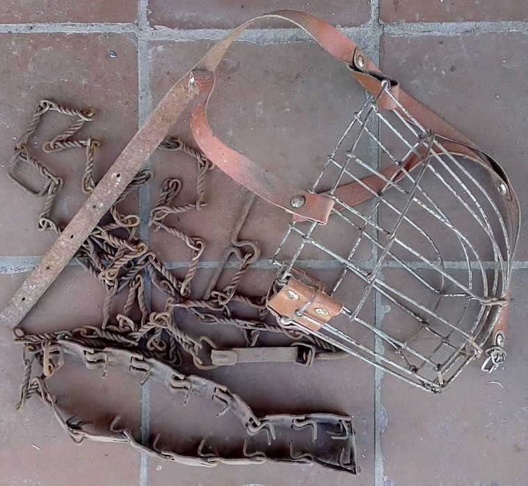 Намордник, строгий ошейник и цепь для овчарки