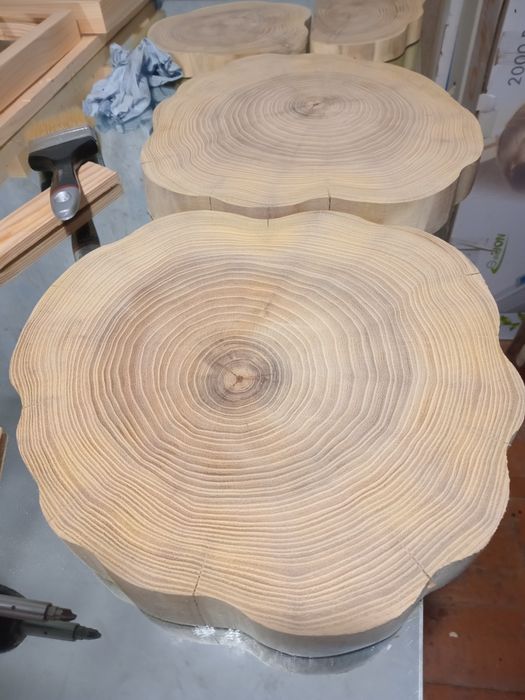 Спил дерева.  Срез дерева.