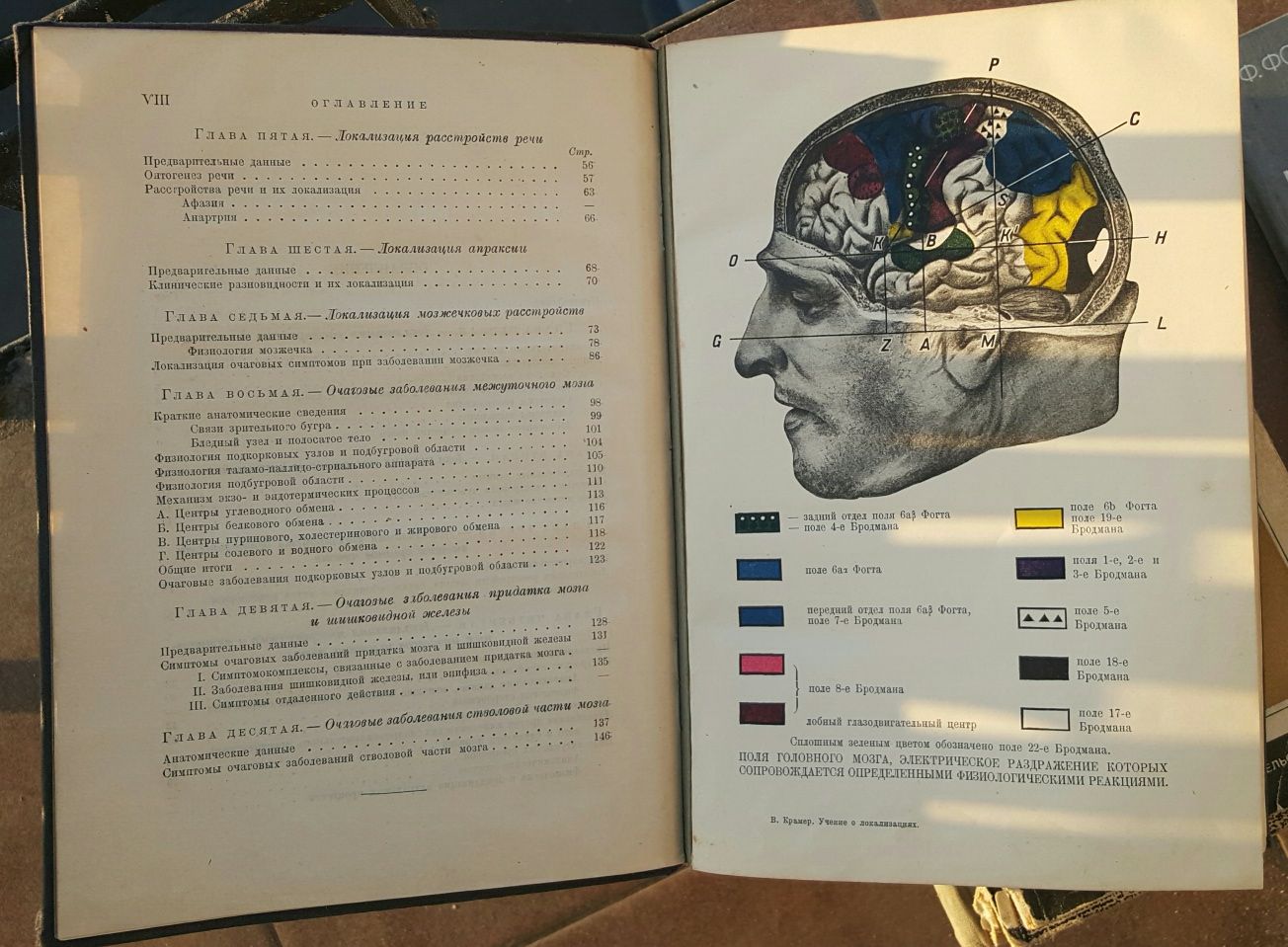 Крамер, В.В. Учение о локализациях. Головной мозг. 1931 г.