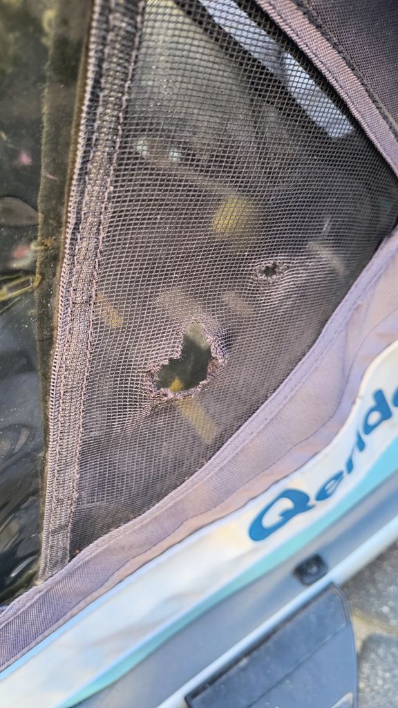 Przyczepka rowerowa queridoo 2 dla bliźniaków