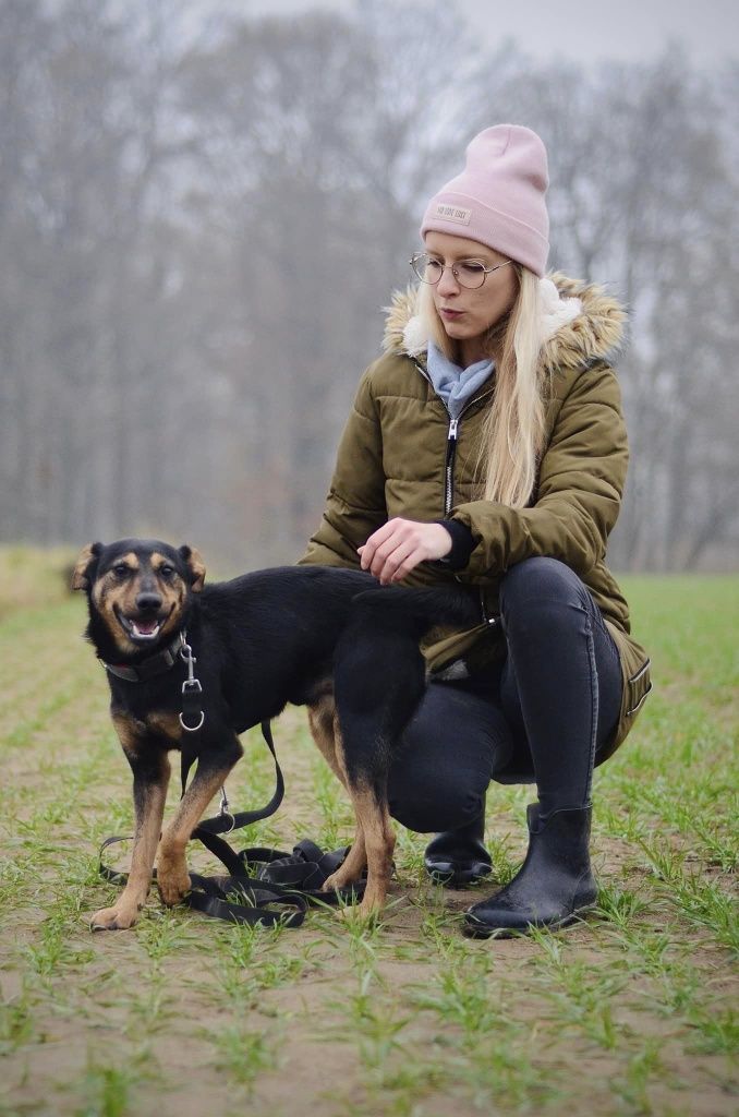 Młody przytulaśny Smyk do adopcji