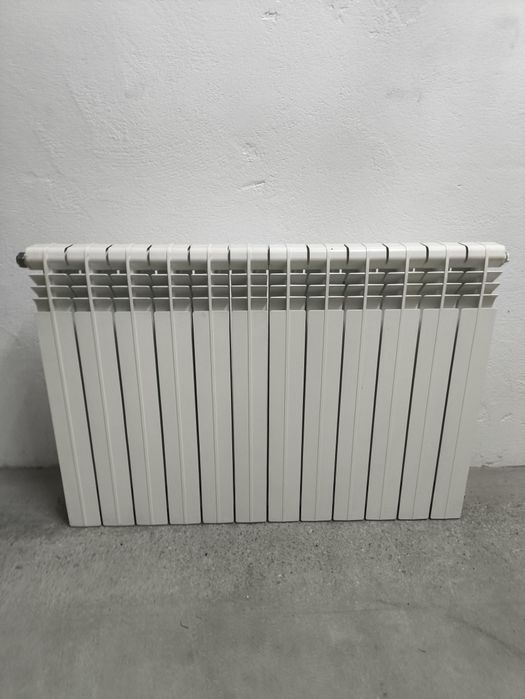 Radiadores de aquecimento central Roca