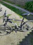 BMC sportelite 01