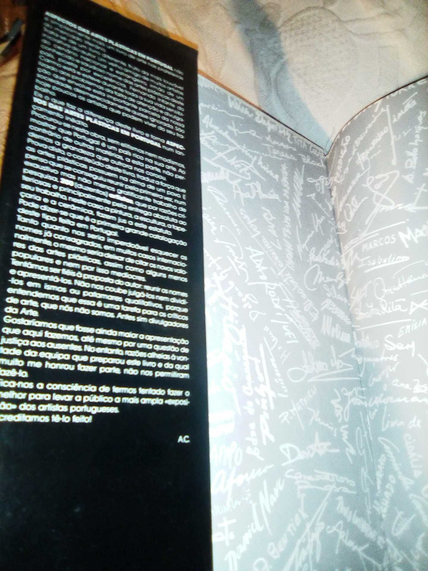 Livro 1992.Artes Plasticas