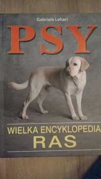 PSY Wielka encyklopedia ras