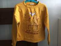 Bluza Harry Potter coccodrillo 134 jak nowa