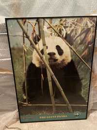 Cartaz Panda emoldurado