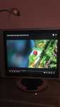 Monitor LG 17 cali