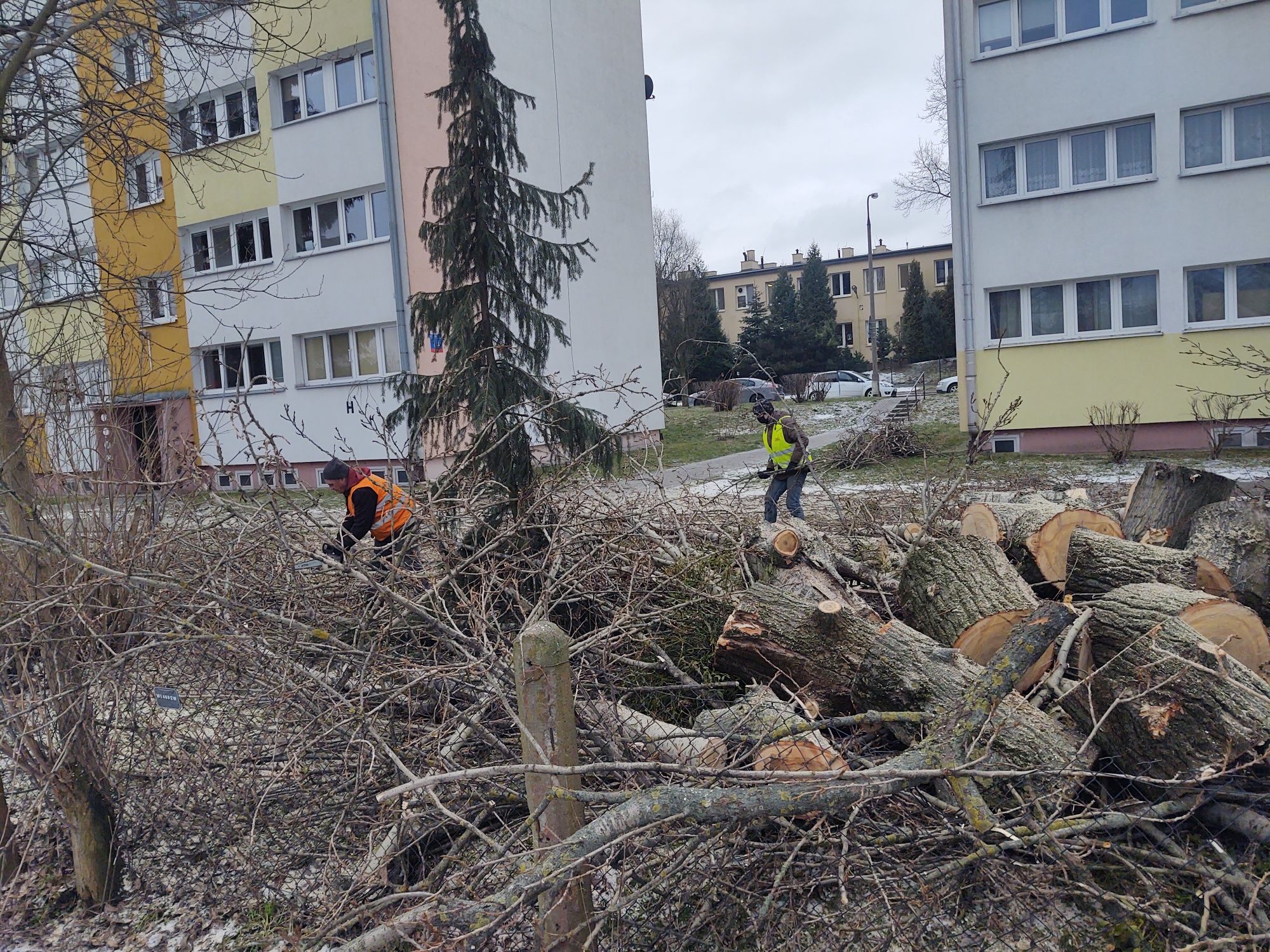 Wycinka drzew frezowanie pni rębak rozbiórki pełne o.c. f-vat