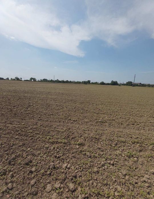 Продаж ДІЛЯНКА 2,4га