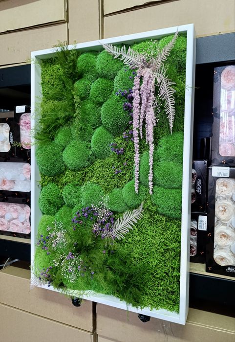 Картина с Мхом. Стабілізований Мох Картина