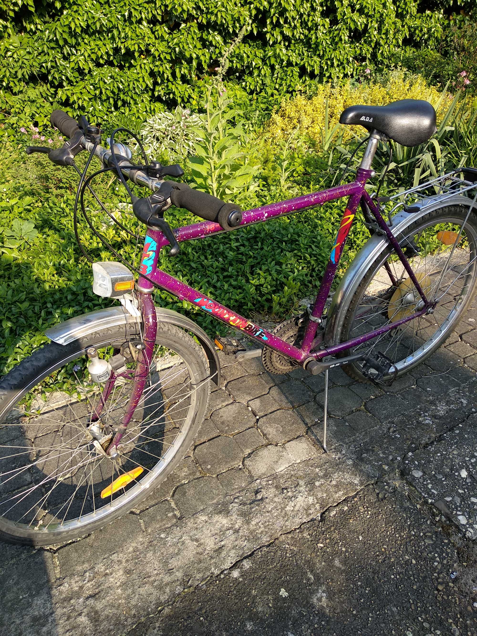 Rower Mountain Bike