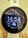 Garmin forerunner 955 solar /zamiana apple watch