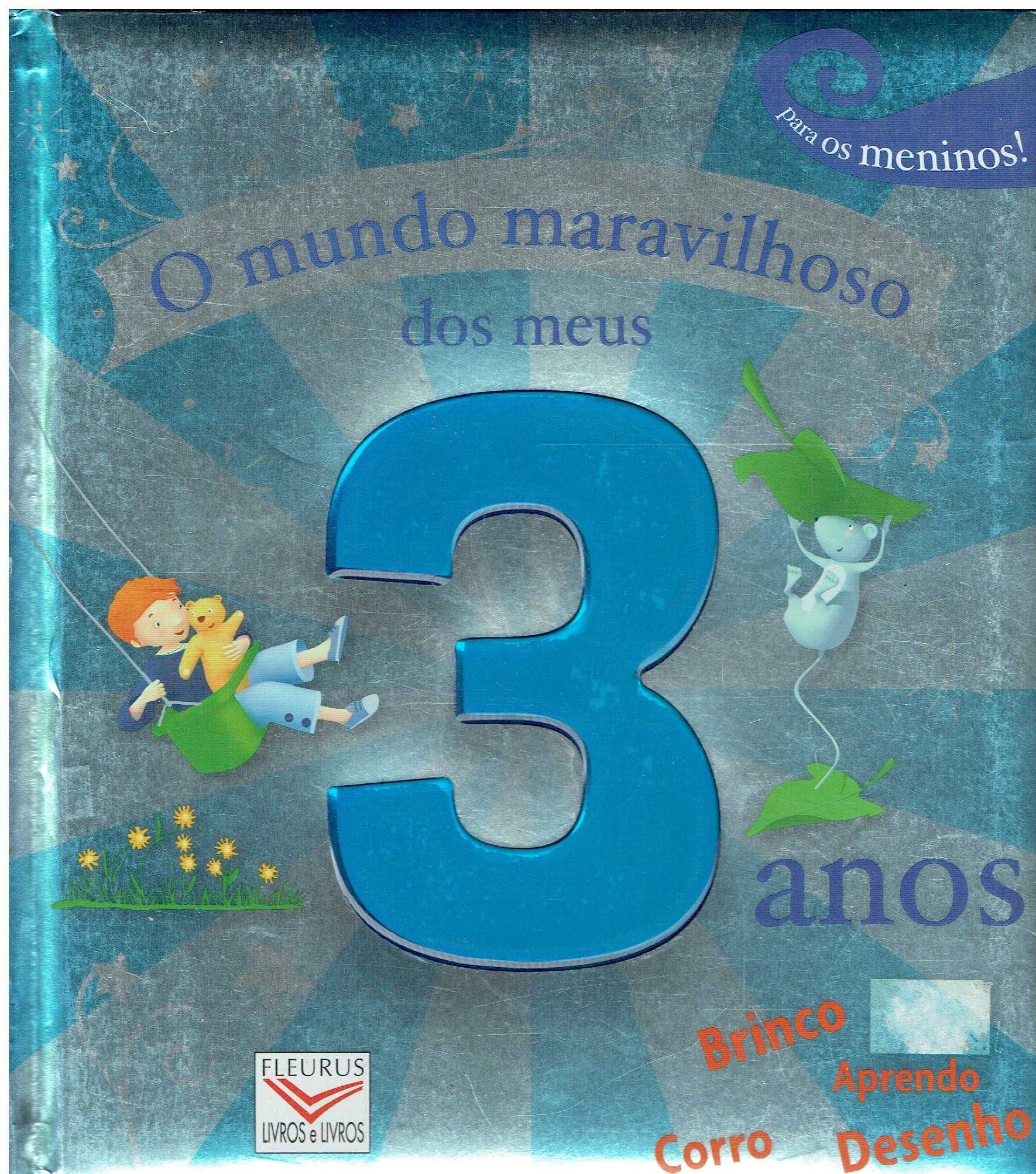 13321
O Mundo Maravilhoso dos Meus 3 Anos para os meninos
ed. Fleurus