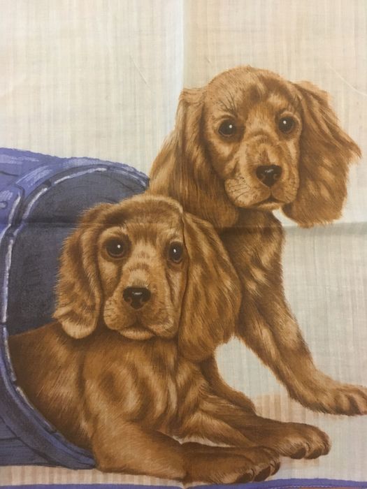 2 pequenos lenços de bolso de criança