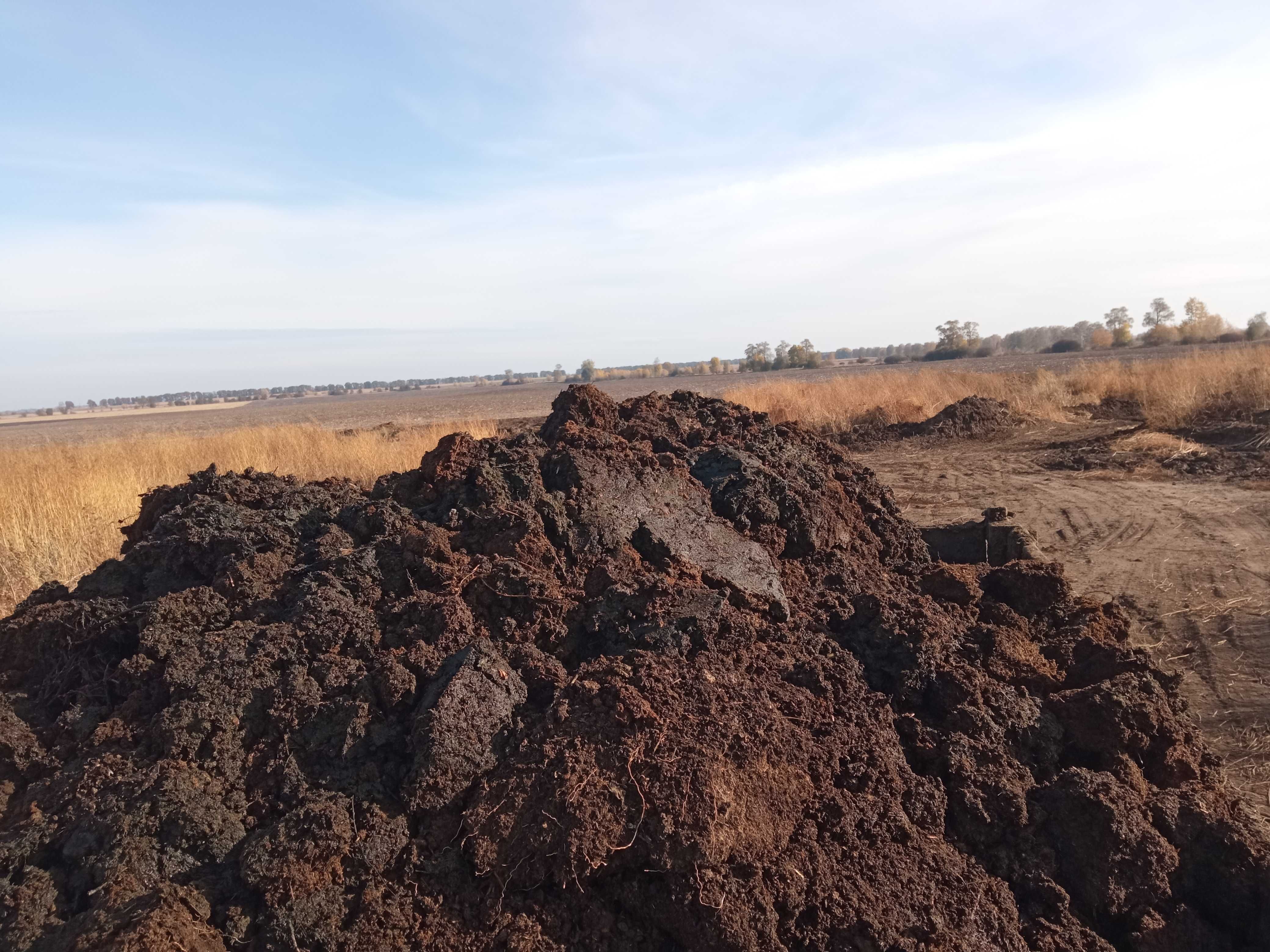 Гной,навоз,перегной,гній коровячий,перегній с Доставкой и выгрузкой