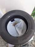 Opony letnie R 17