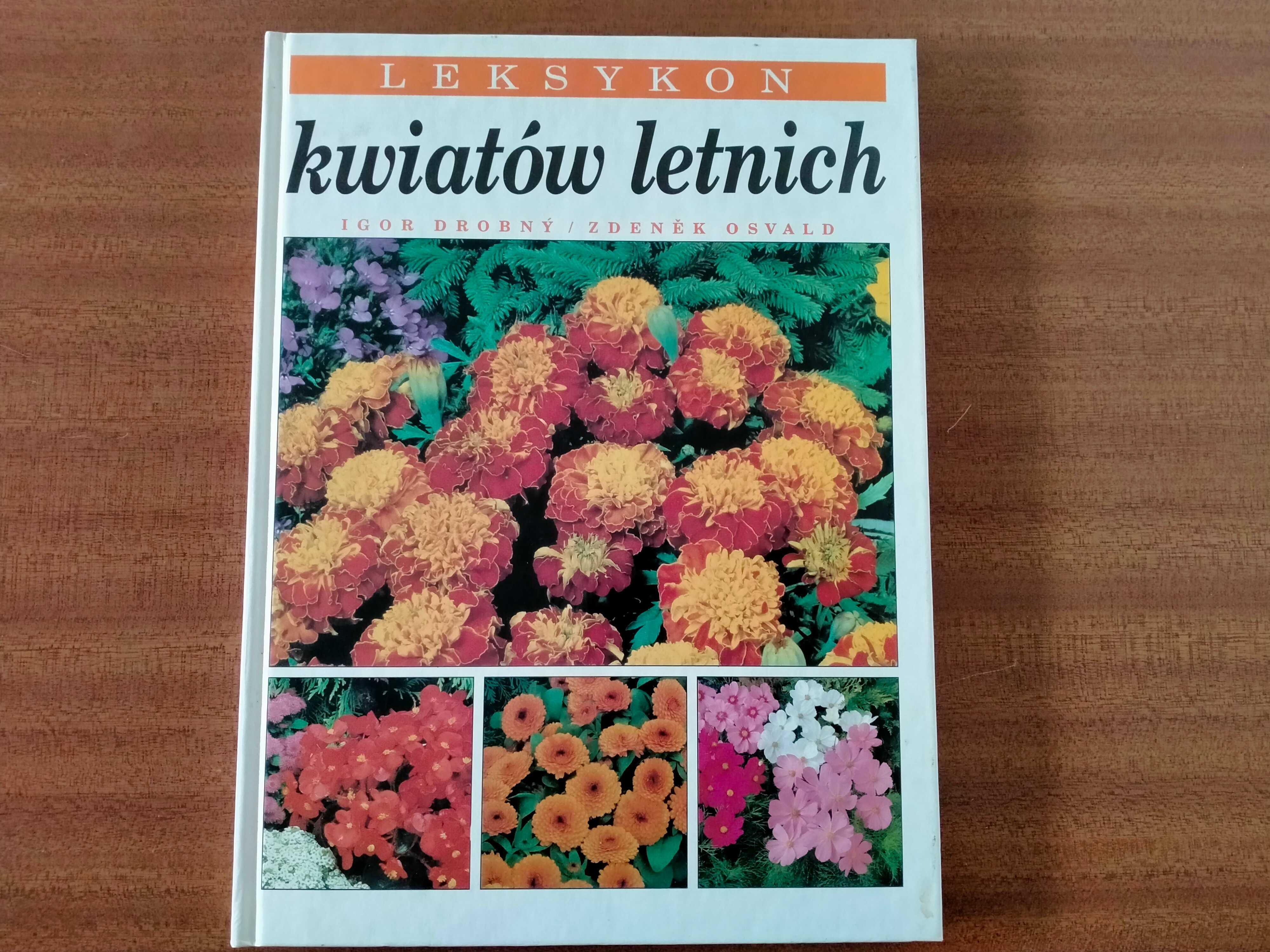 Kwiaty letnie - leksykon