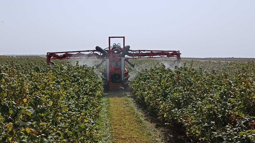 Opryskiwacz sadowniczy 2-rzędowy AGROLA 1500 HST