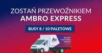 Współpraca - przewoźnik w firmie kurierskiej - busy 10ep - Warszawa