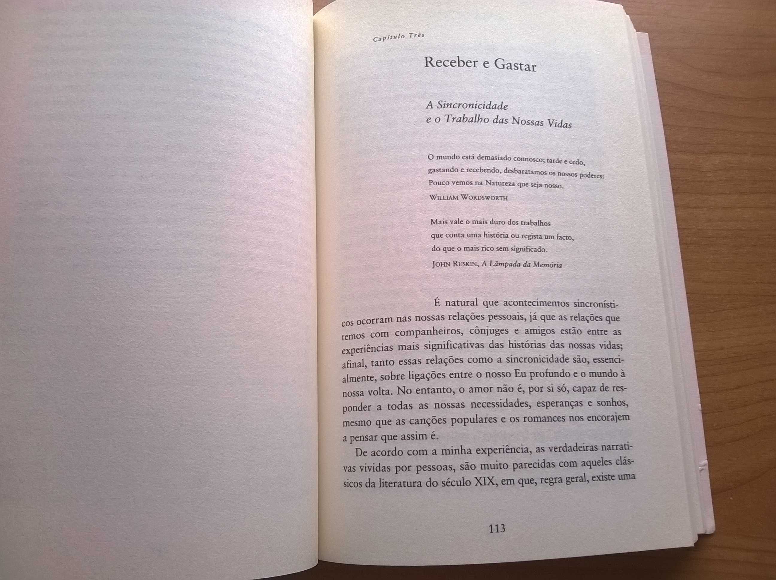 Não há Acasos - Robert H. Hopcke