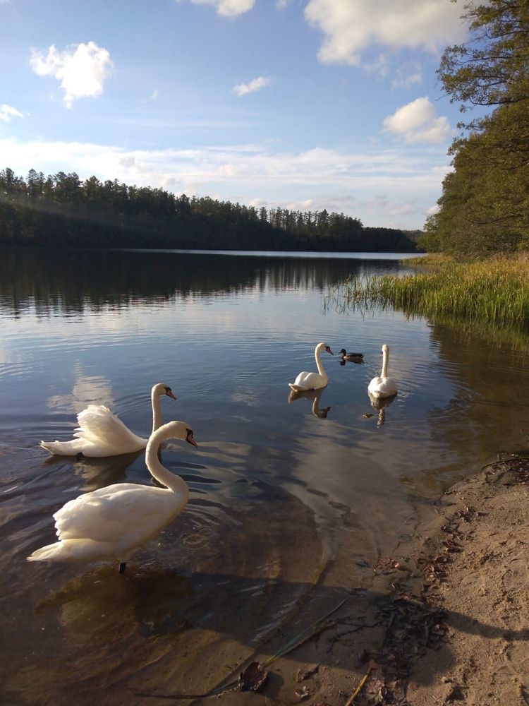 Domek Letniskowy na Kaszubach Sulęczyno