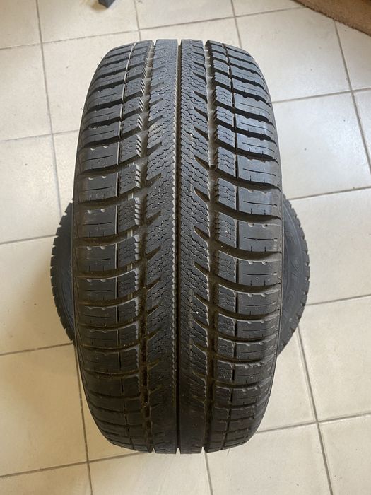 Good year  eagle vector+