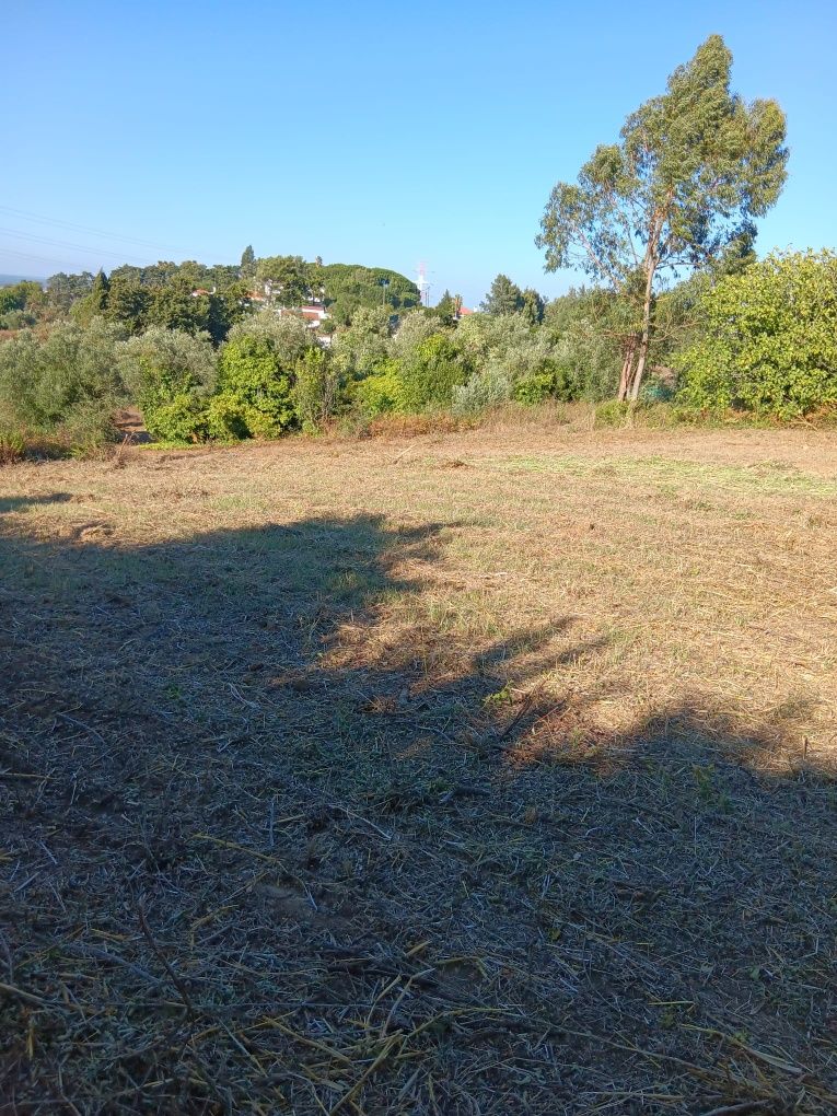 Terreno em Palmela